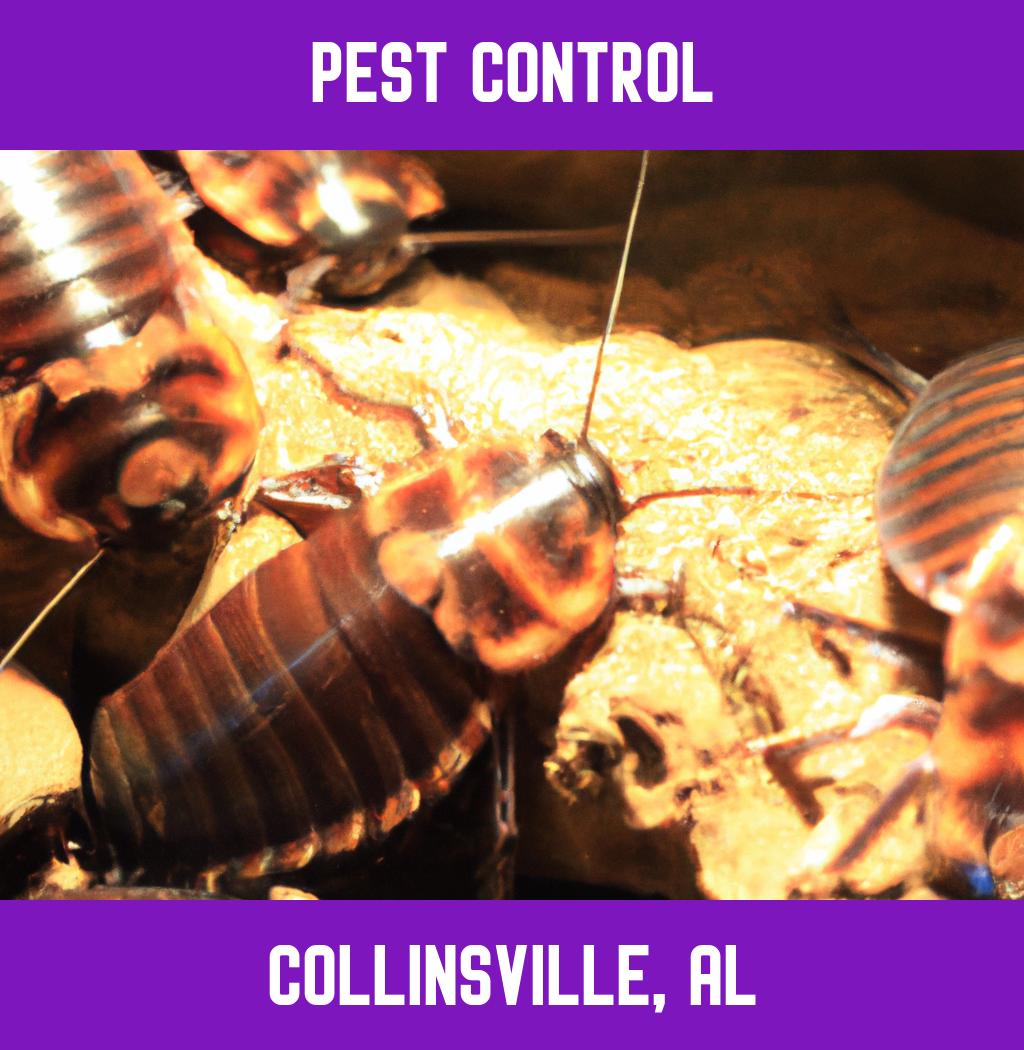 pest control in Collinsville Alabama
