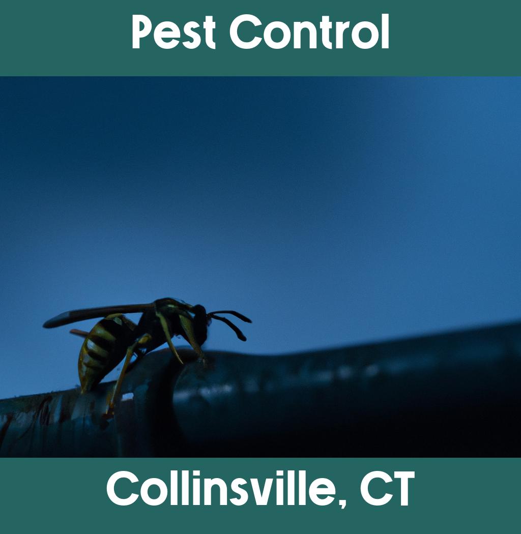 pest control in Collinsville Connecticut