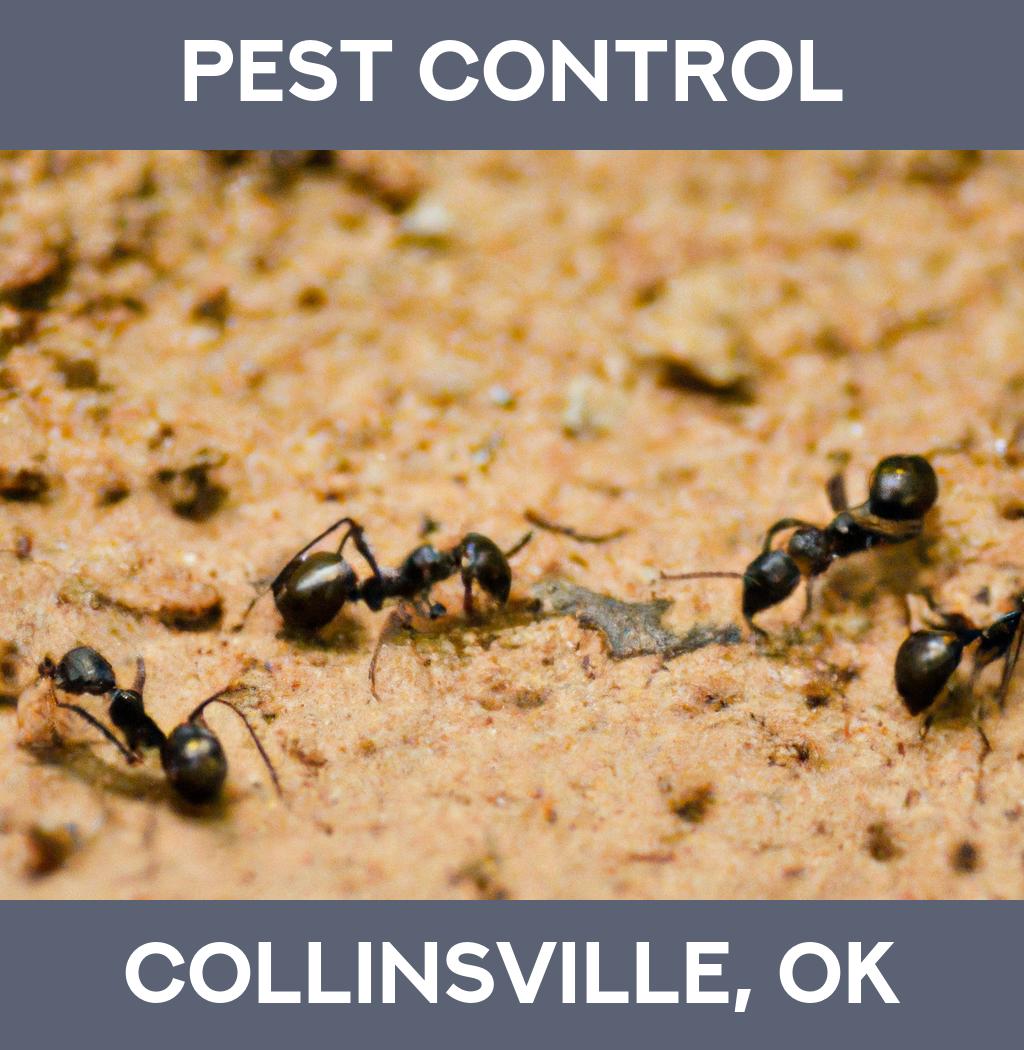 pest control in Collinsville Oklahoma