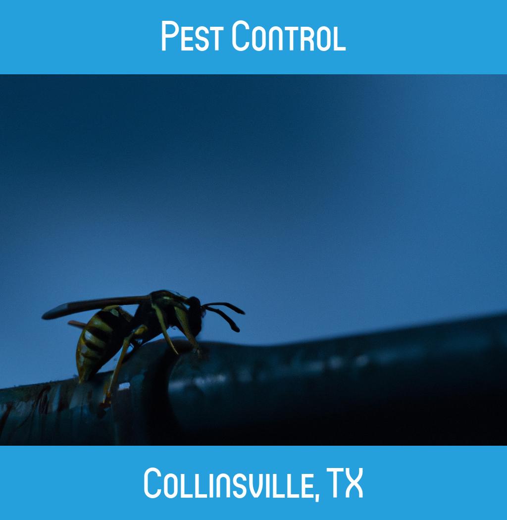 pest control in Collinsville Texas