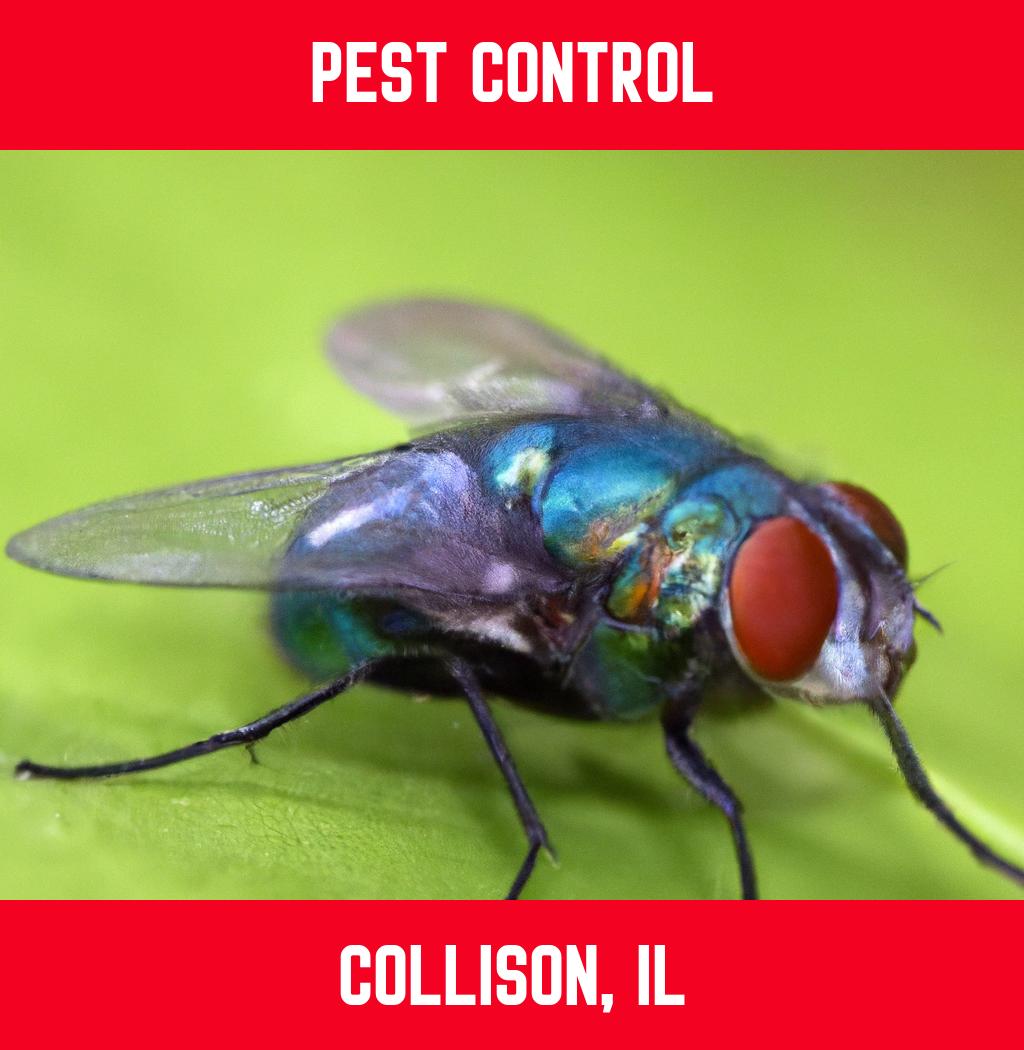 pest control in Collison Illinois