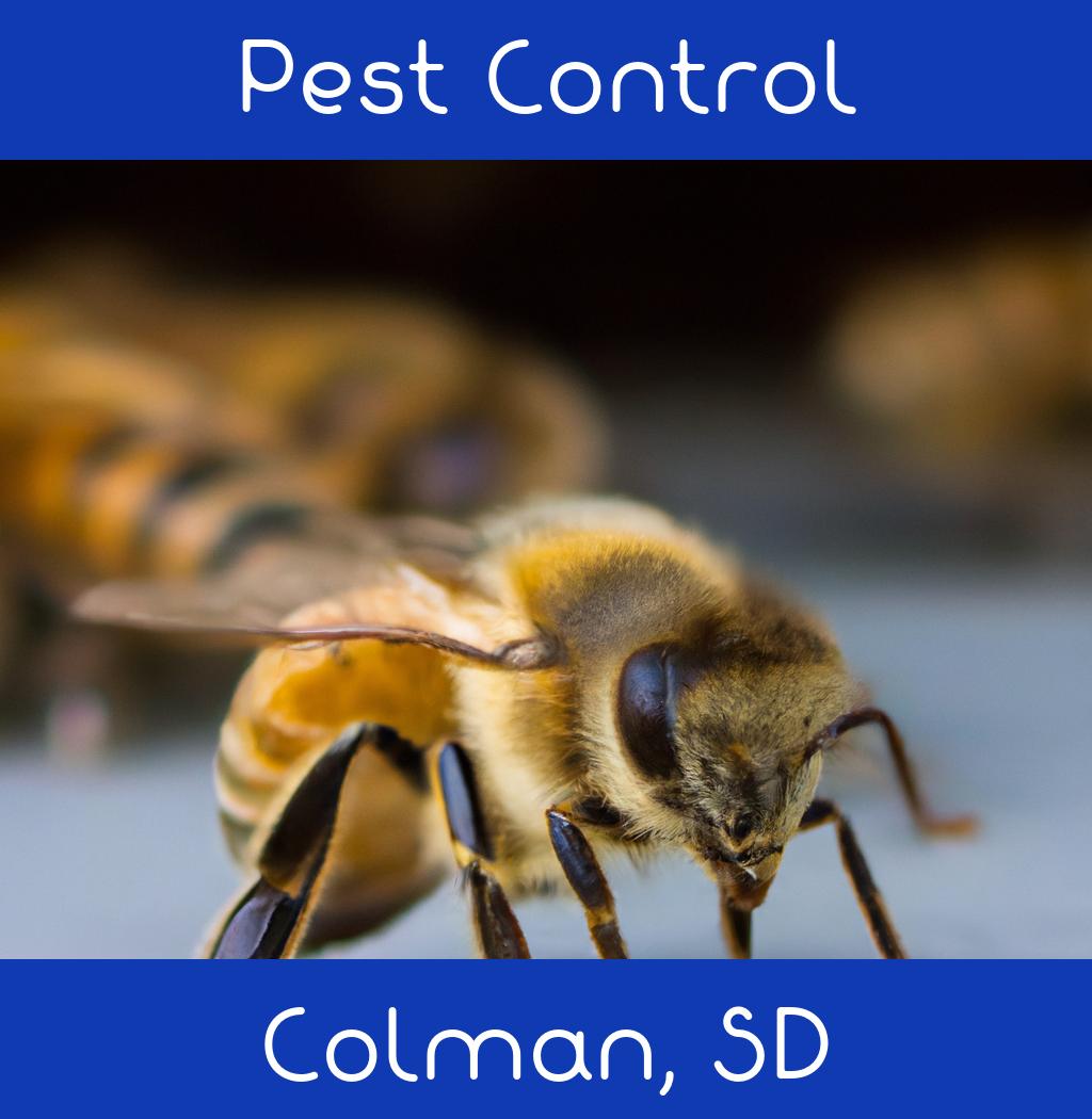 pest control in Colman South Dakota