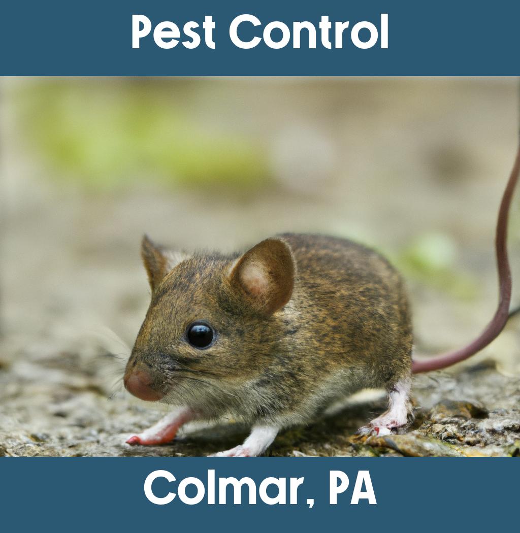 pest control in Colmar Pennsylvania
