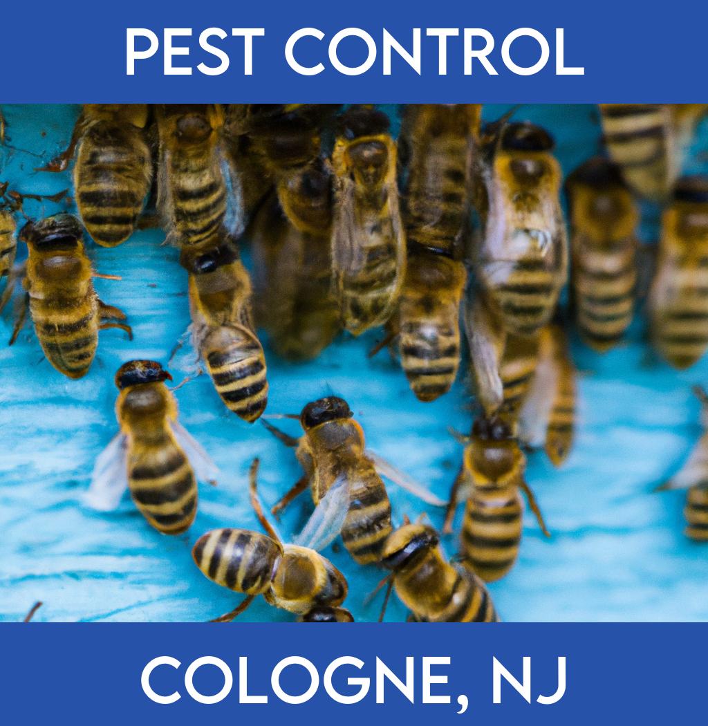 pest control in Cologne New Jersey