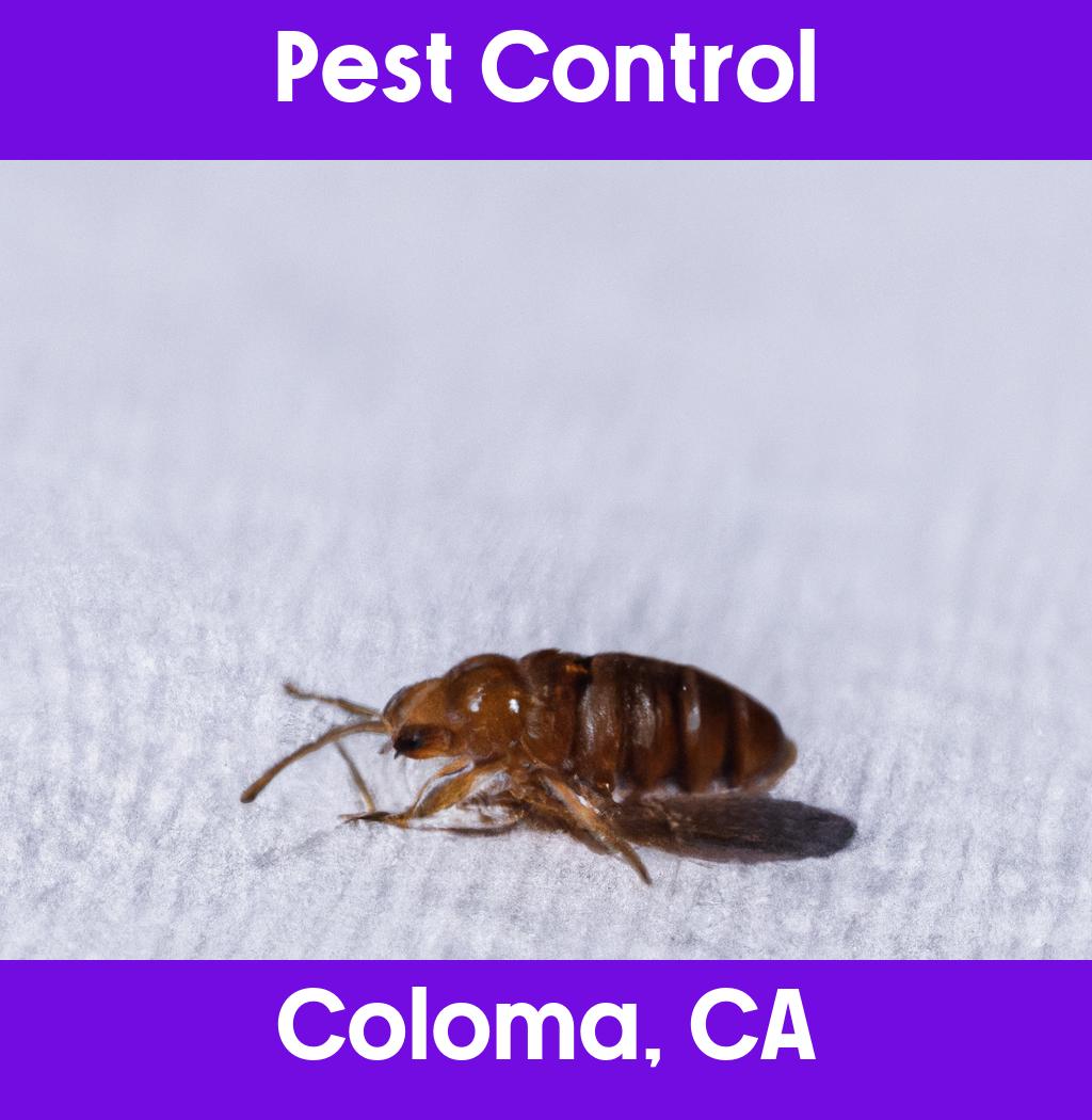 pest control in Coloma California