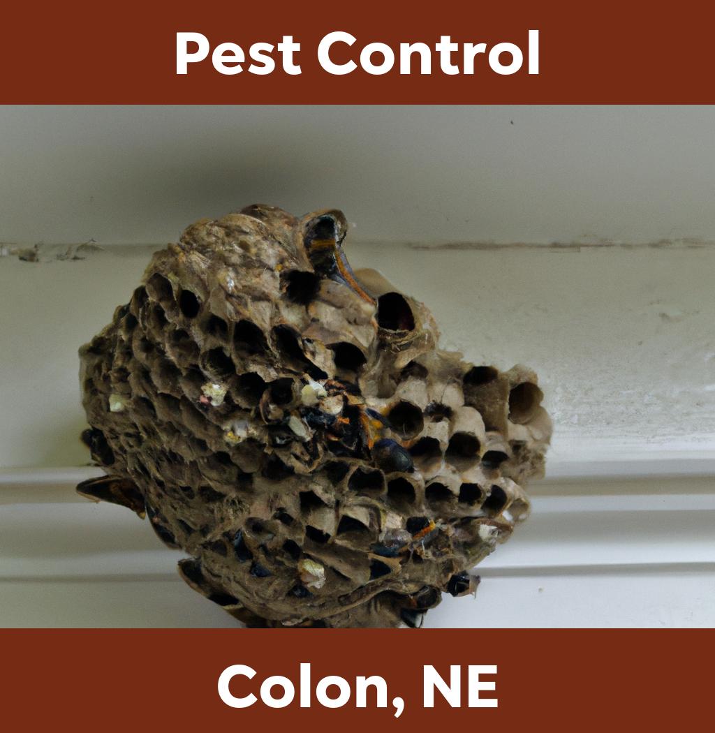 pest control in Colon Nebraska