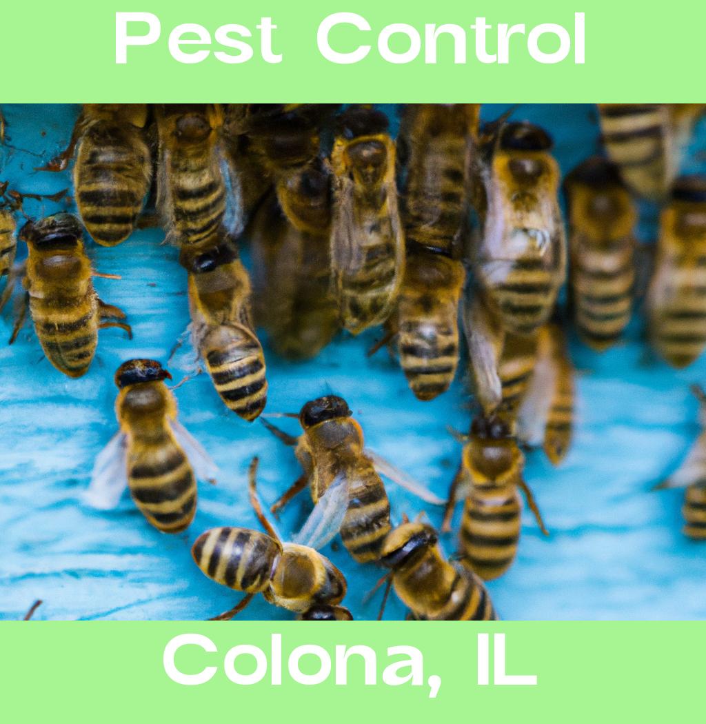 pest control in Colona Illinois