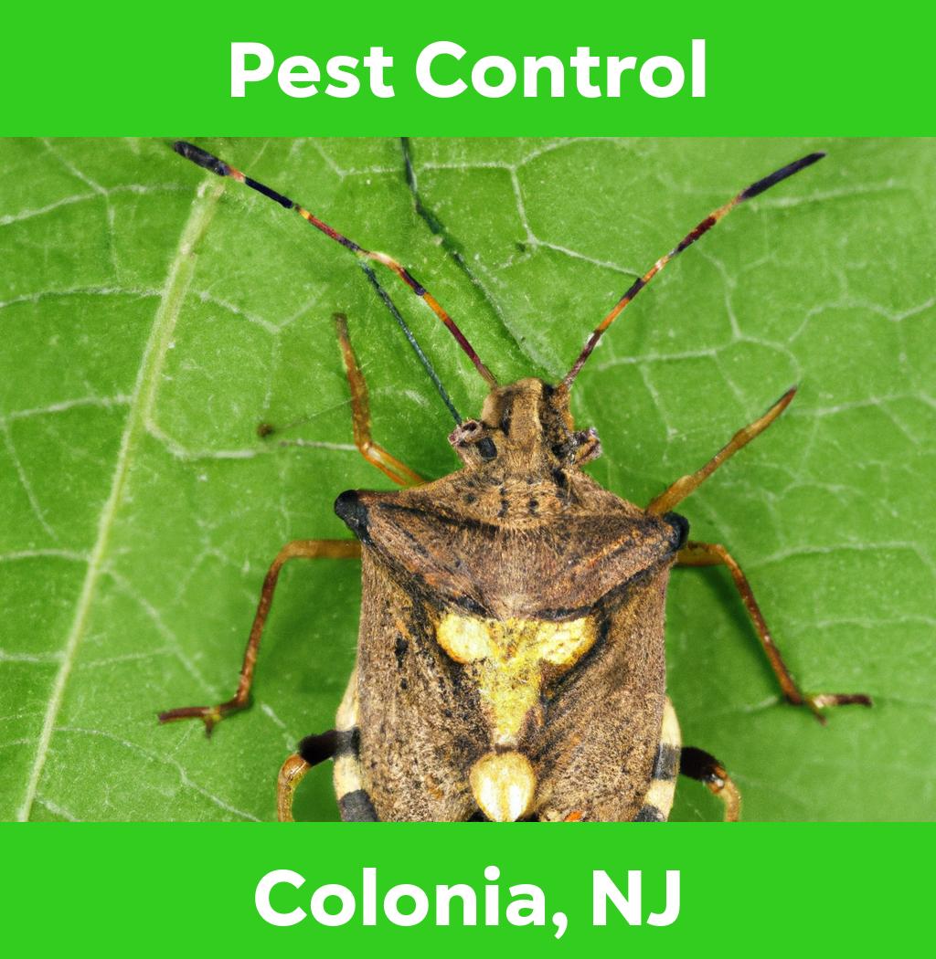pest control in Colonia New Jersey