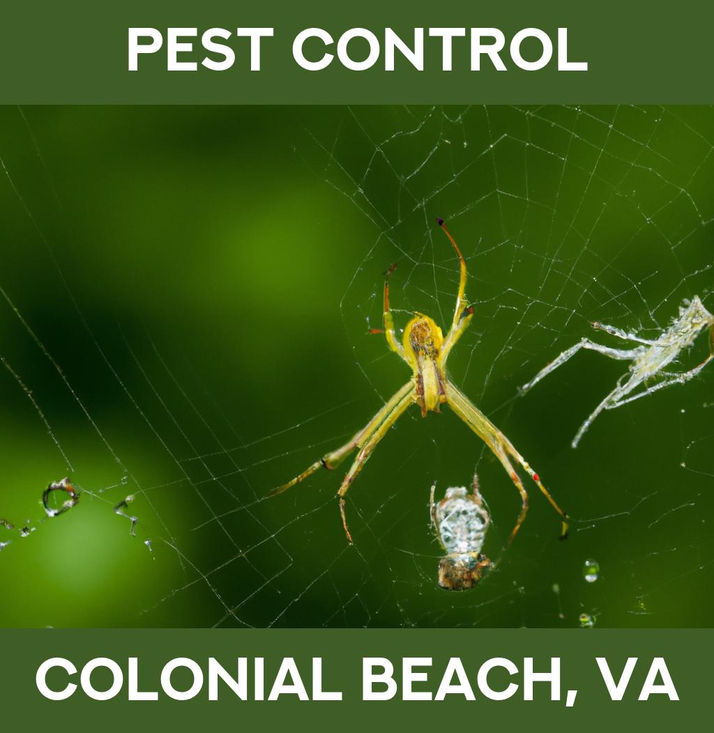 pest control in Colonial Beach Virginia