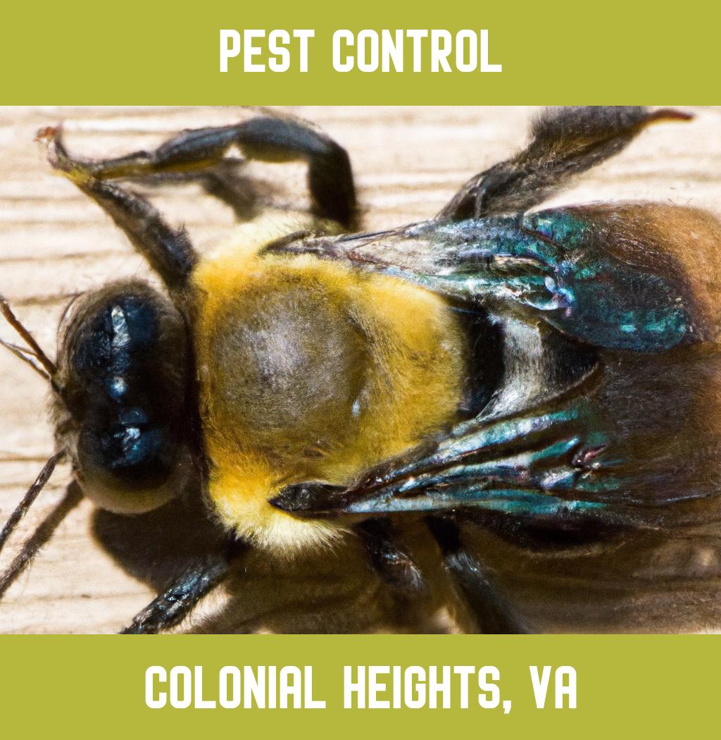 pest control in Colonial Heights Virginia