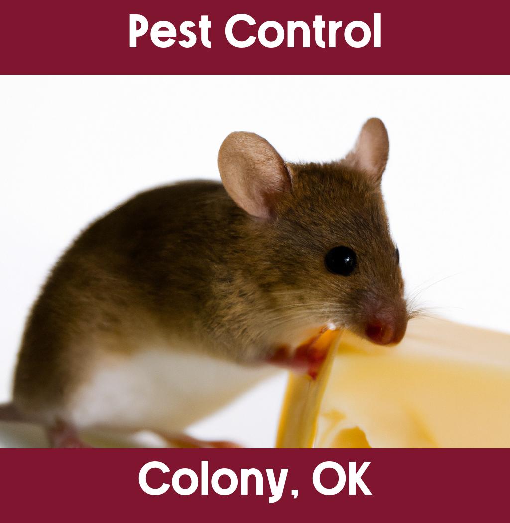 pest control in Colony Oklahoma
