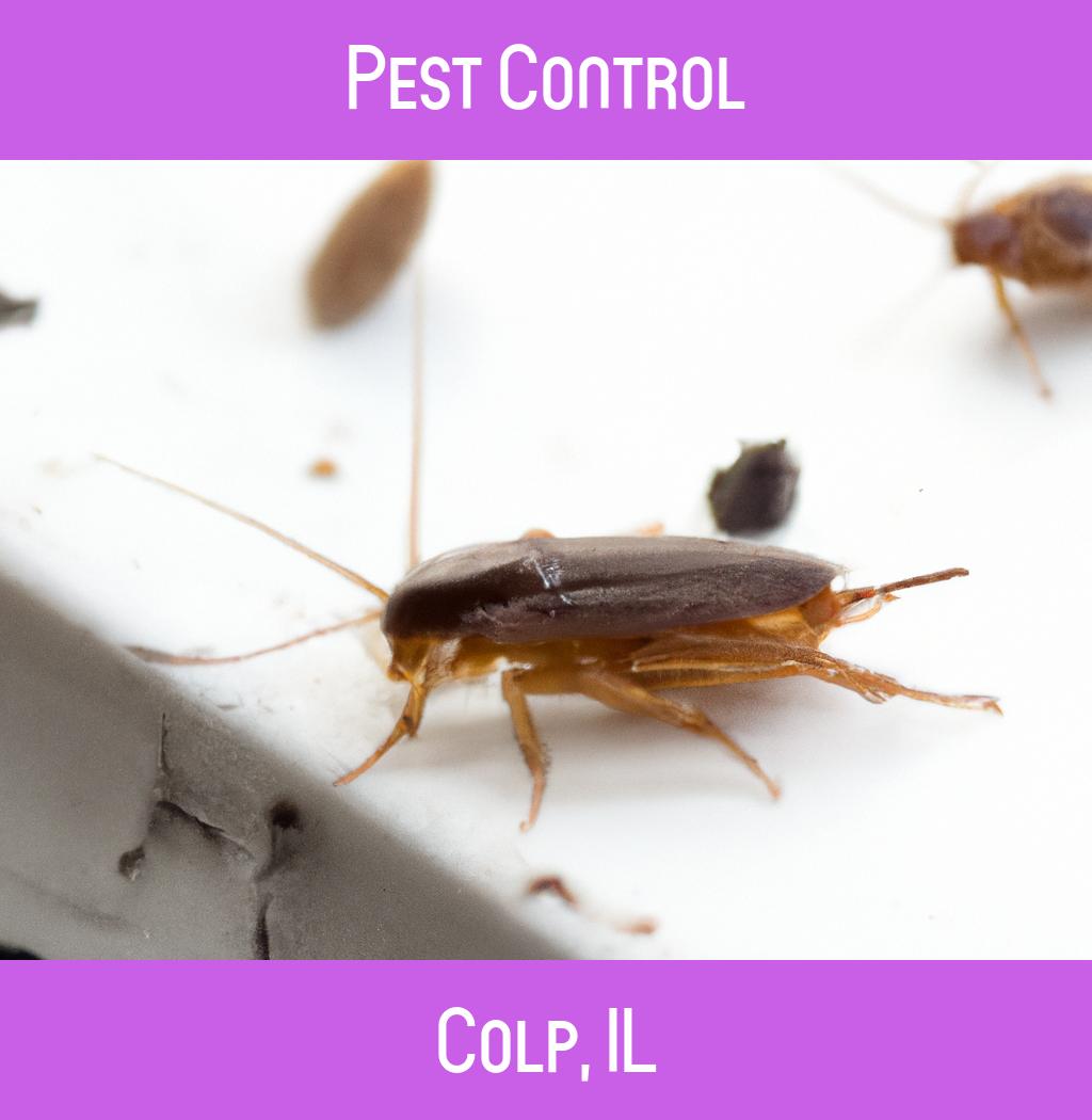 pest control in Colp Illinois