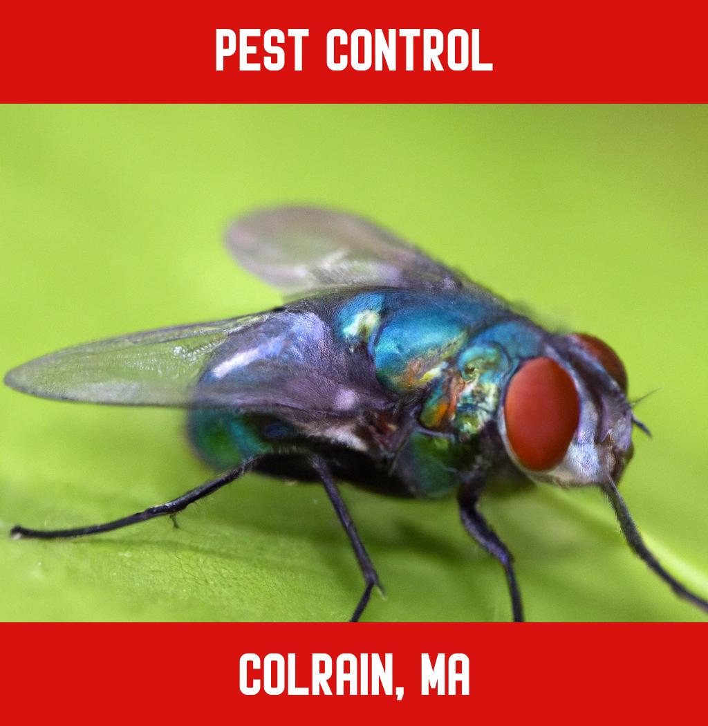 pest control in Colrain Massachusetts