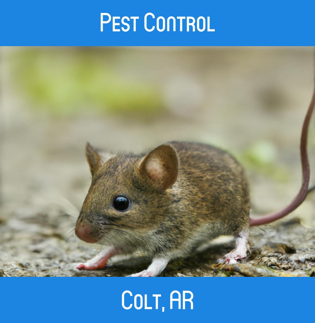 pest control in Colt Arkansas