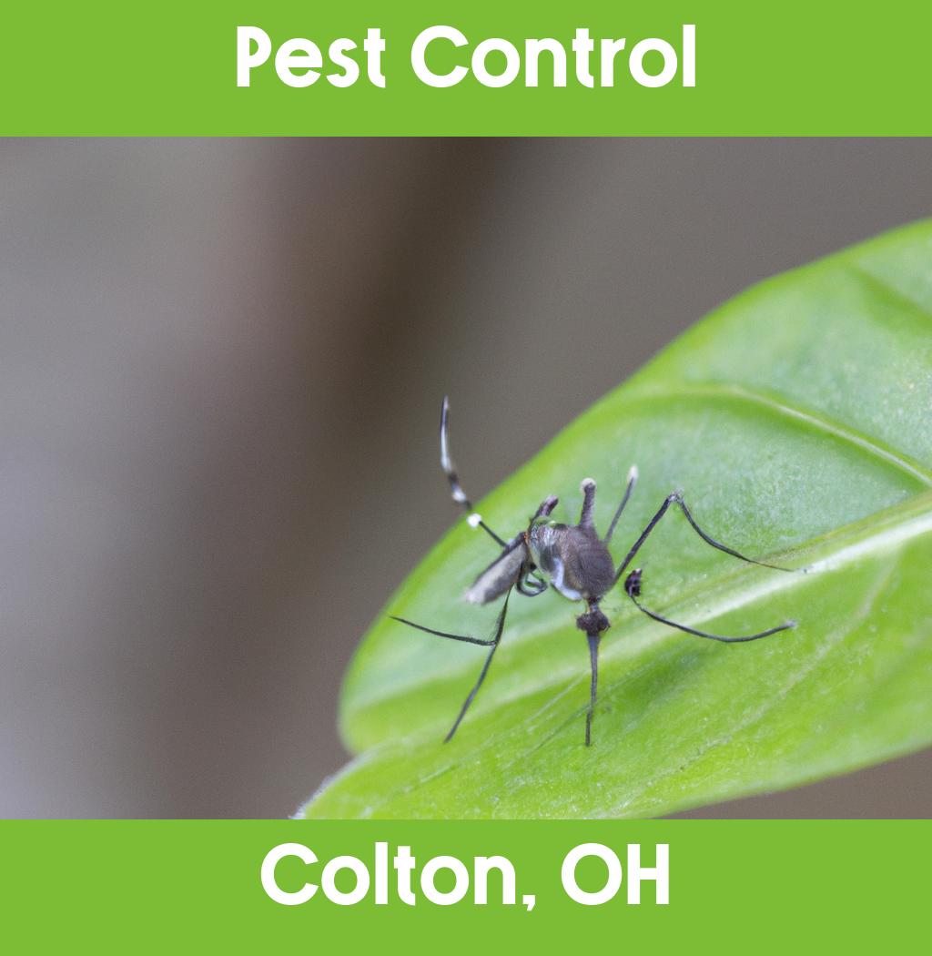 pest control in Colton Ohio