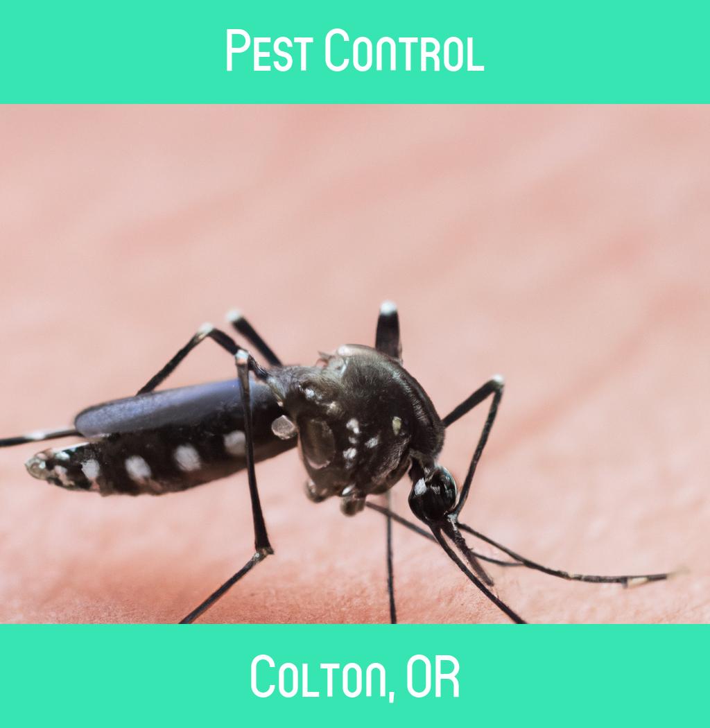 pest control in Colton Oregon