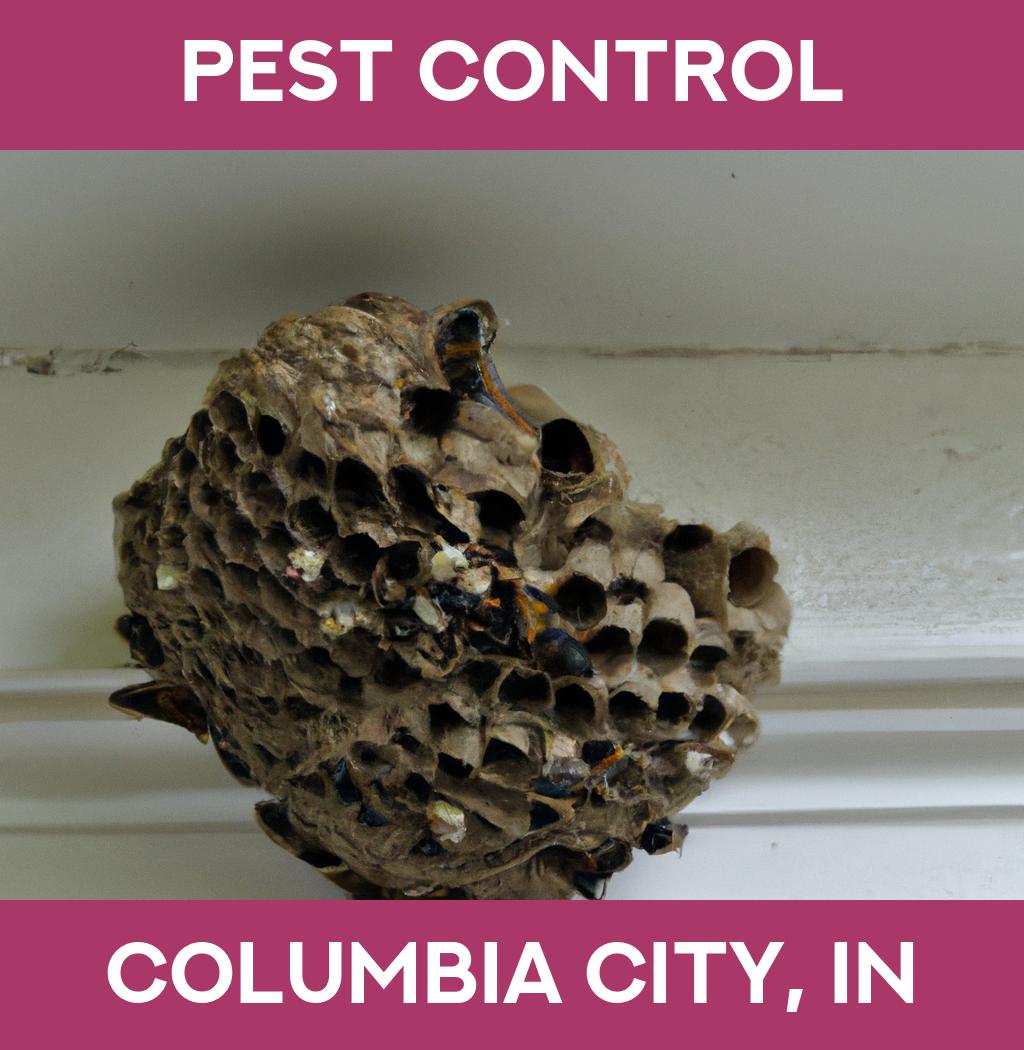 pest control in Columbia City Indiana