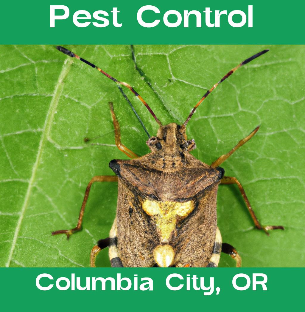 pest control in Columbia City Oregon