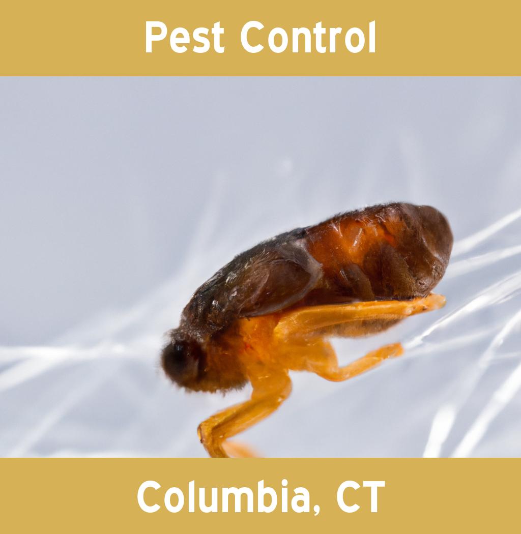 pest control in Columbia Connecticut