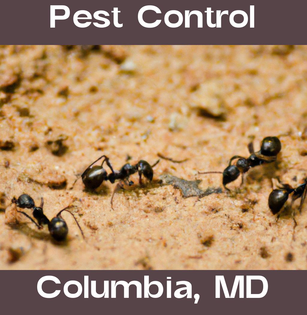 pest control in Columbia Maryland