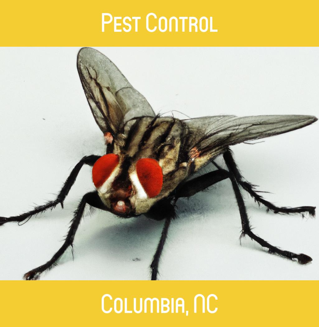 pest control in Columbia North Carolina