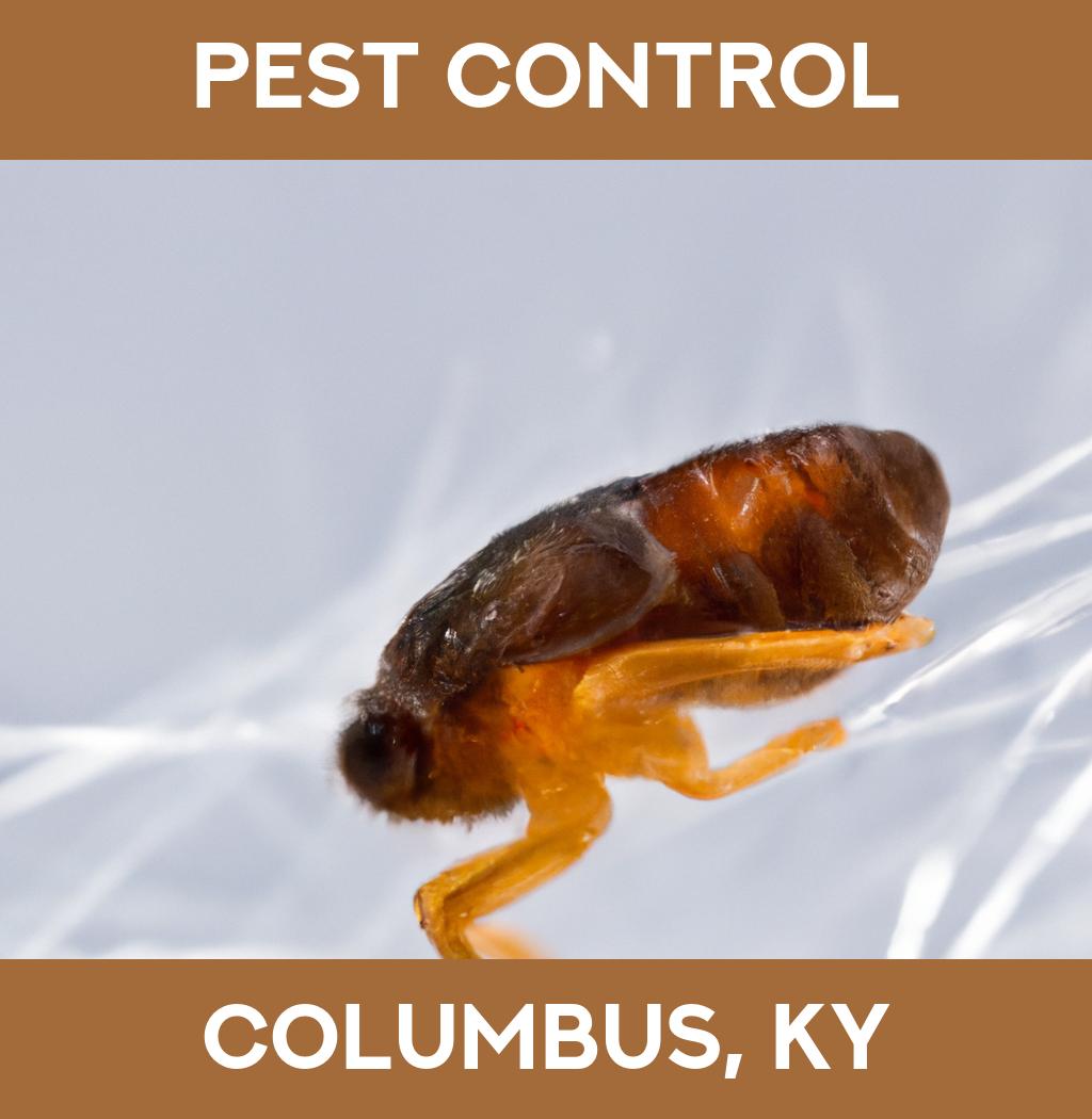pest control in Columbus Kentucky