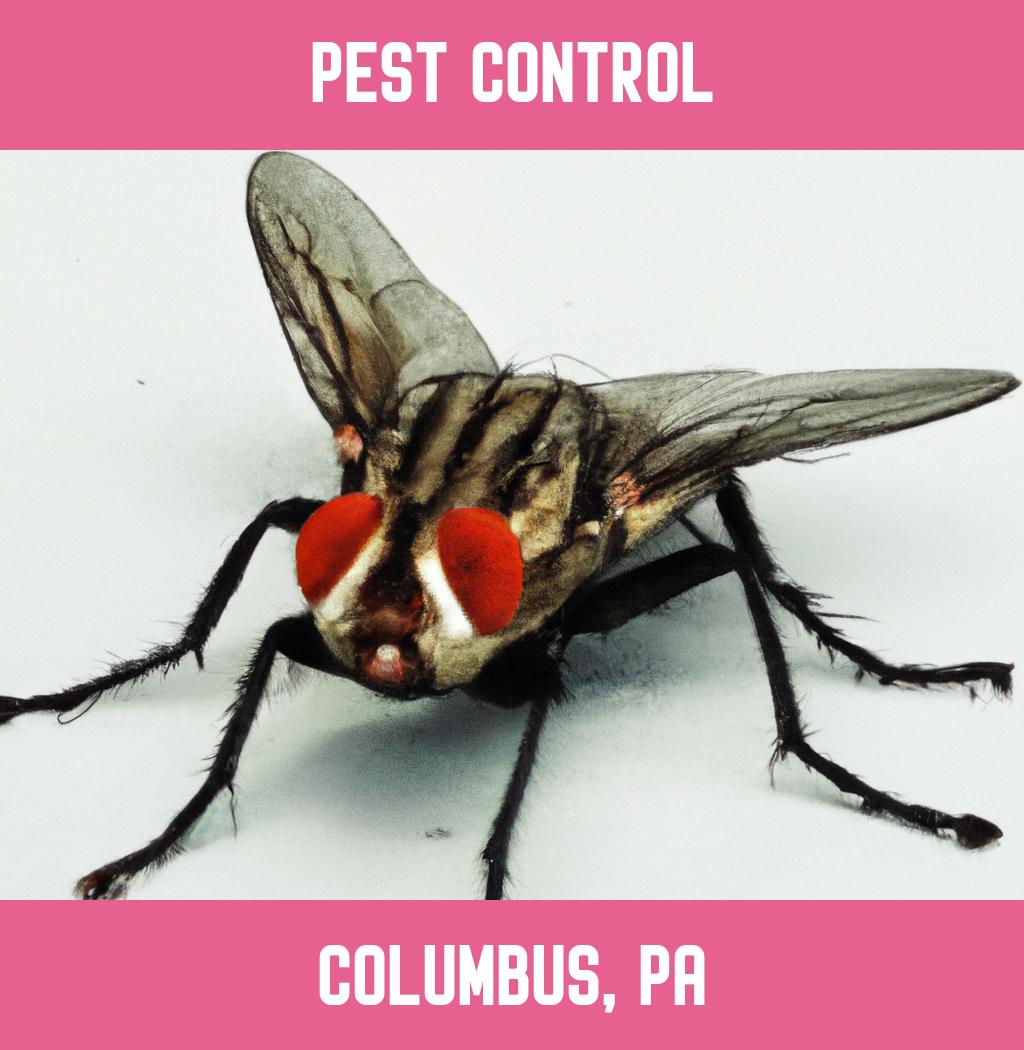 pest control in Columbus Pennsylvania