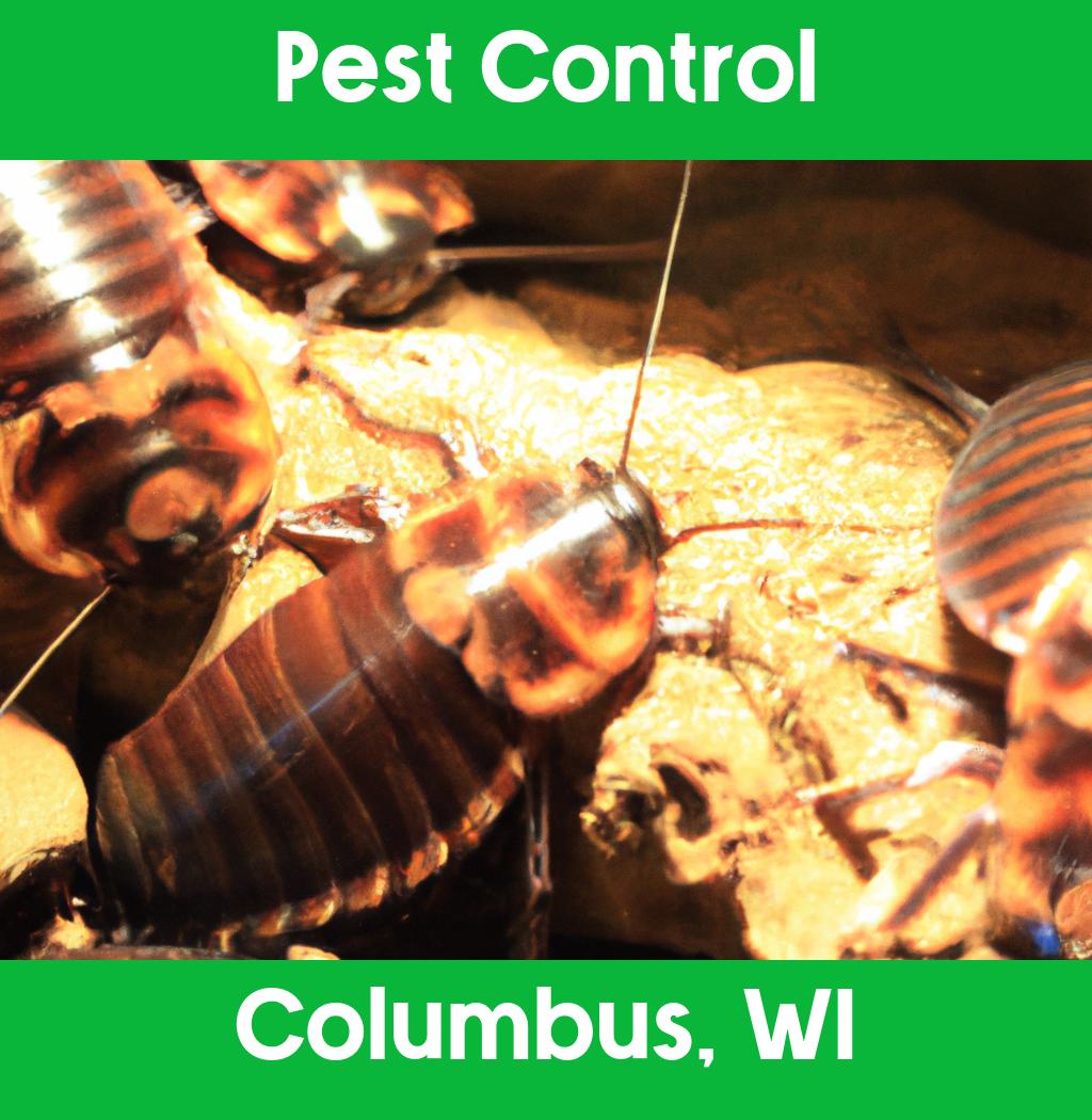 pest control in Columbus Wisconsin