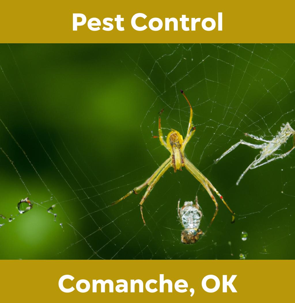 pest control in Comanche Oklahoma