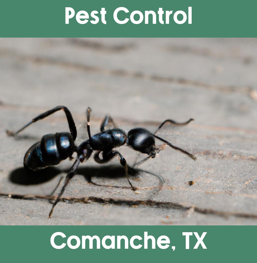 pest control in Comanche Texas