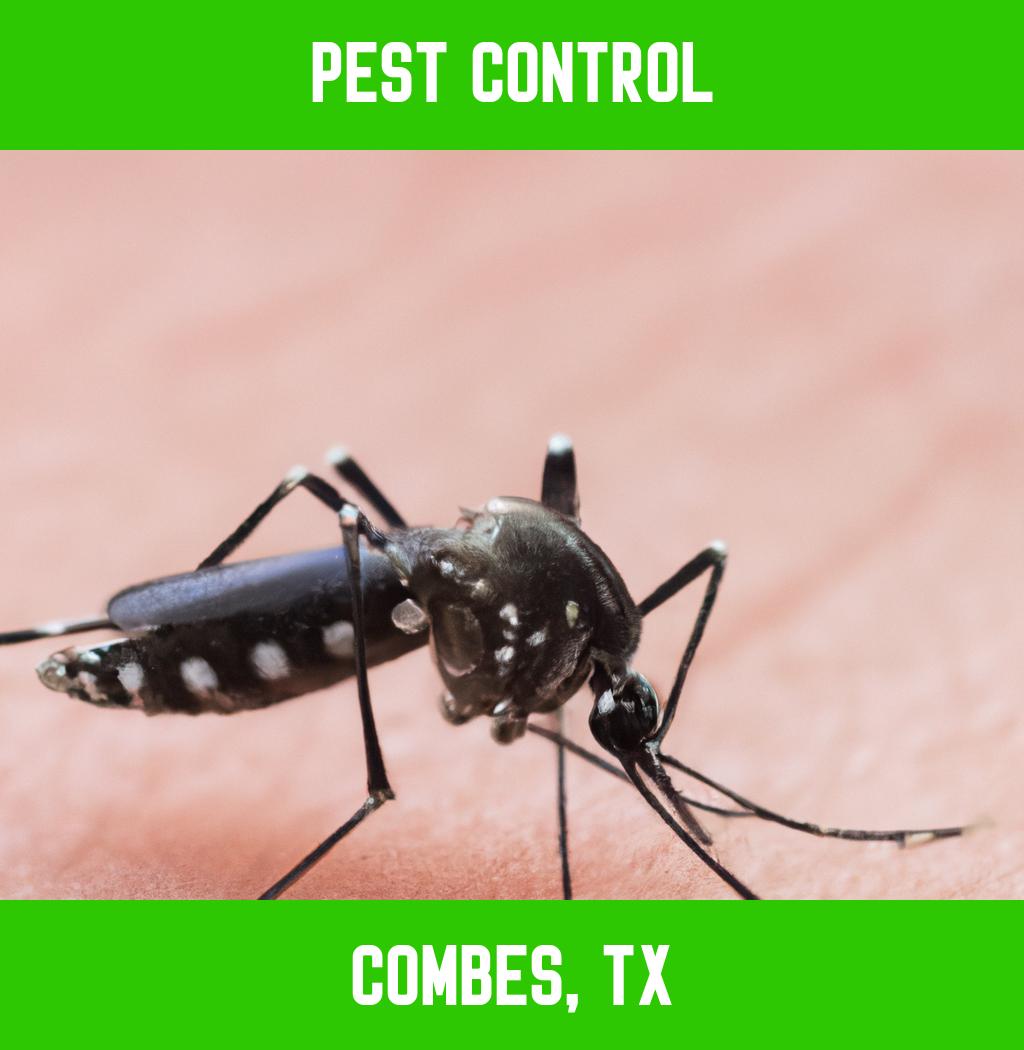pest control in Combes Texas