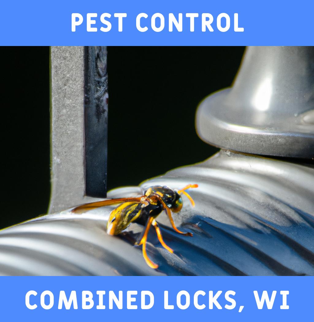 pest control in Combined Locks Wisconsin