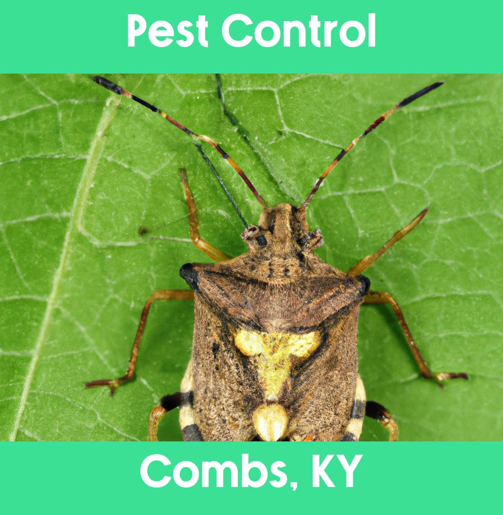 pest control in Combs Kentucky