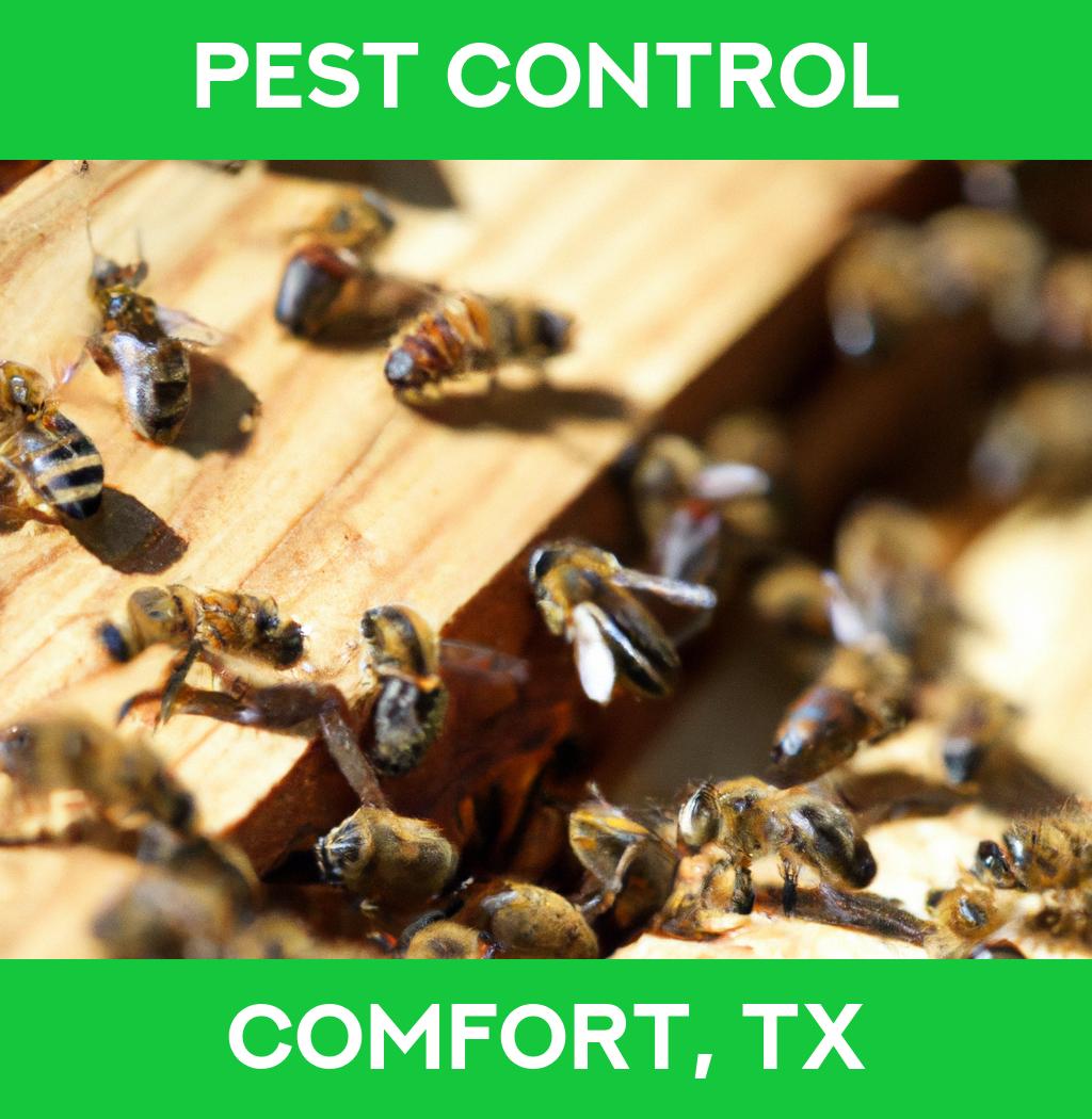 pest control in Comfort Texas