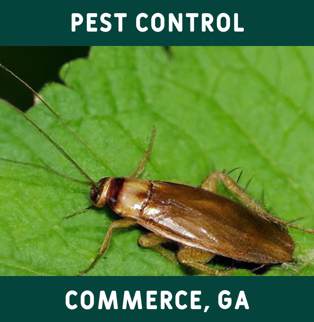 pest control in Commerce Georgia