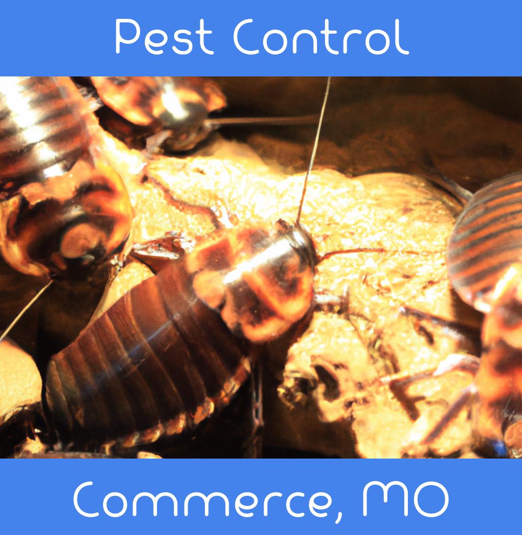 pest control in Commerce Missouri