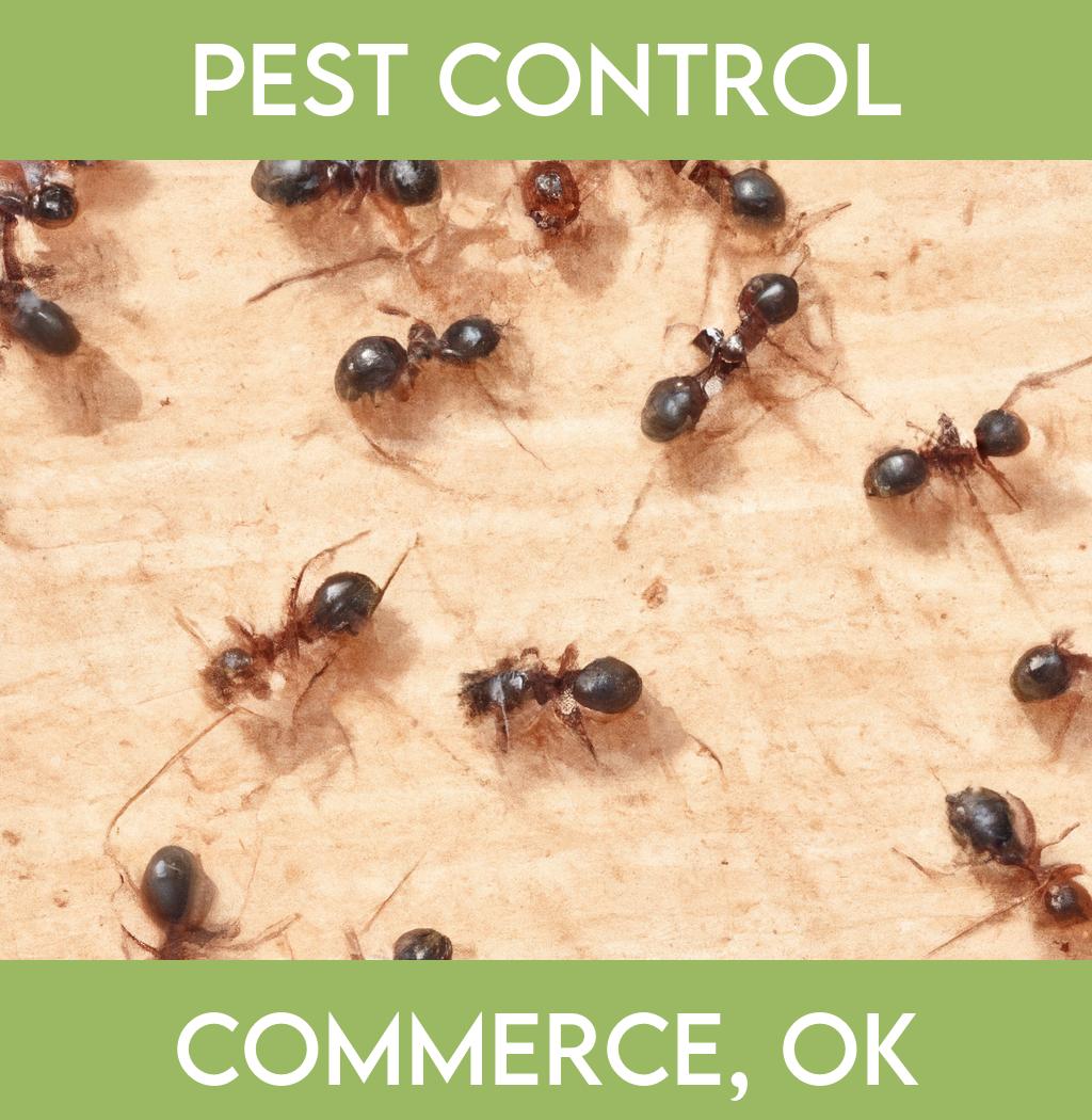 pest control in Commerce Oklahoma