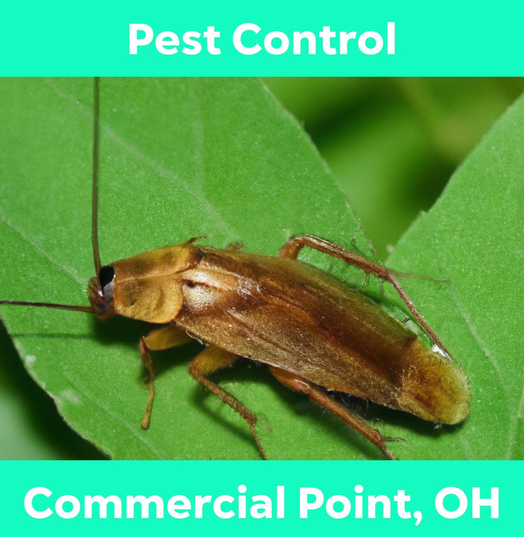 pest control in Commercial Point Ohio