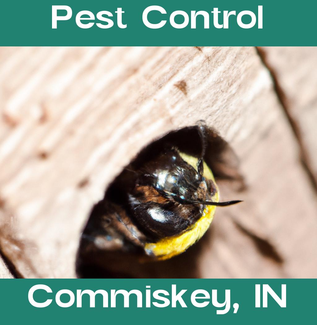 pest control in Commiskey Indiana