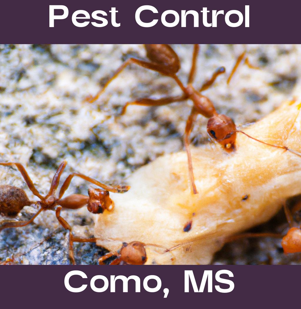 pest control in Como Mississippi