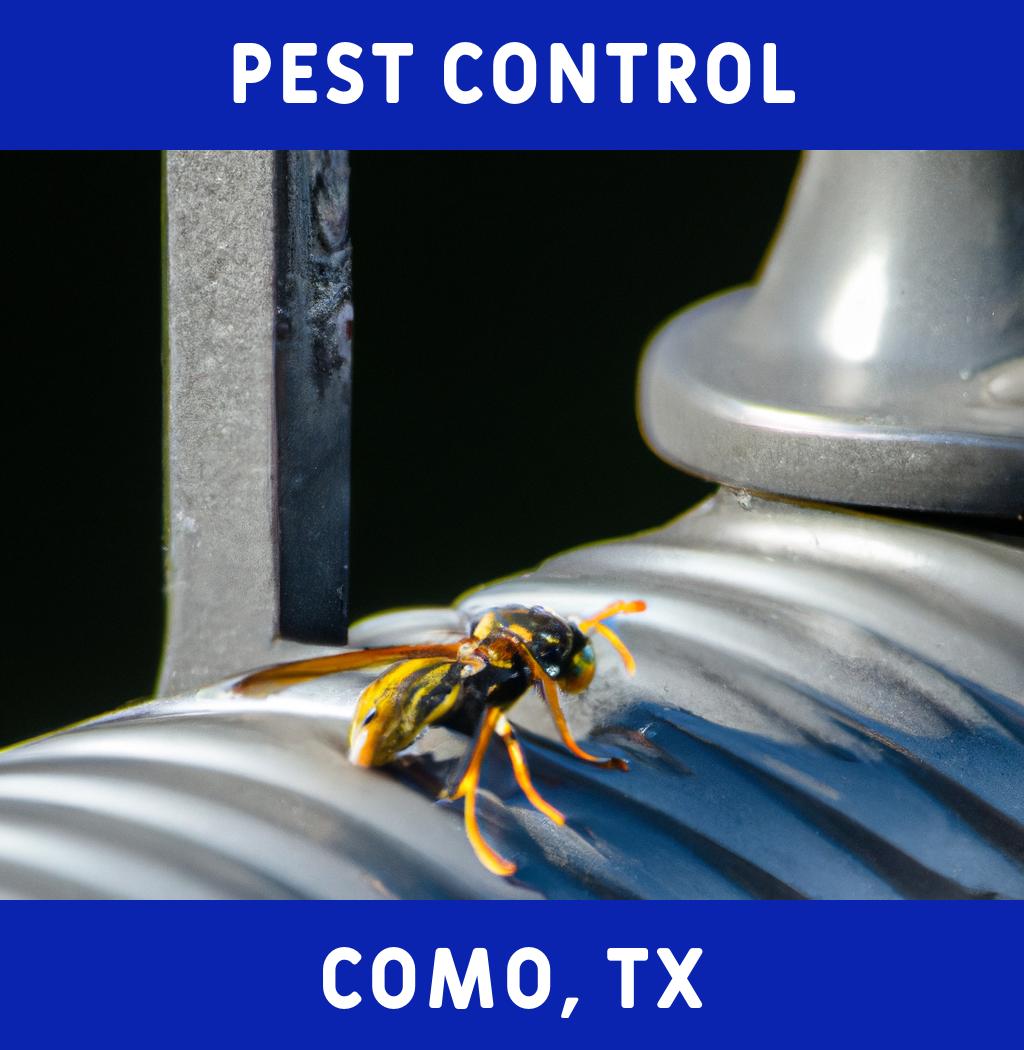 pest control in Como Texas