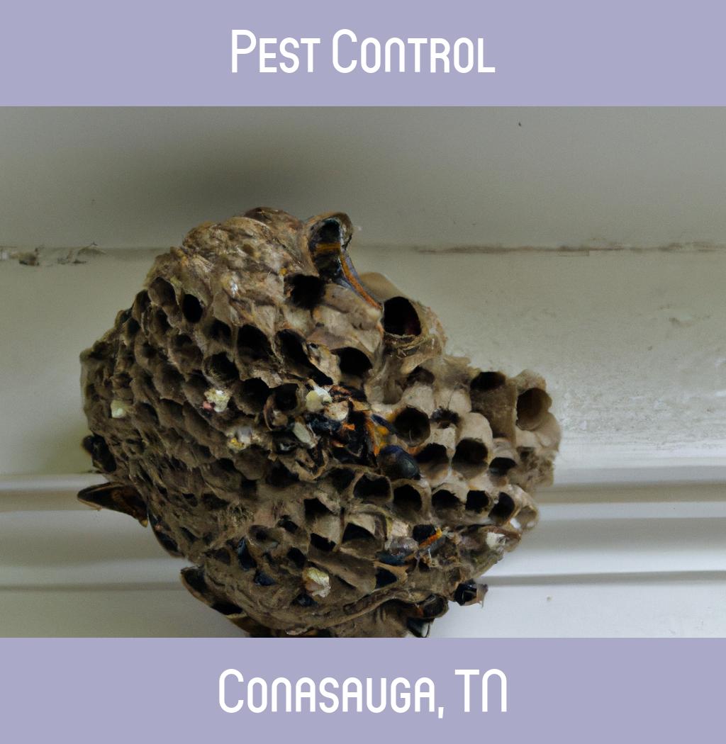pest control in Conasauga Tennessee