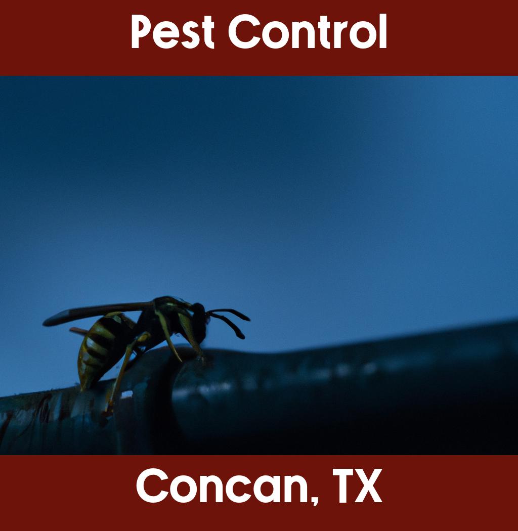 pest control in Concan Texas