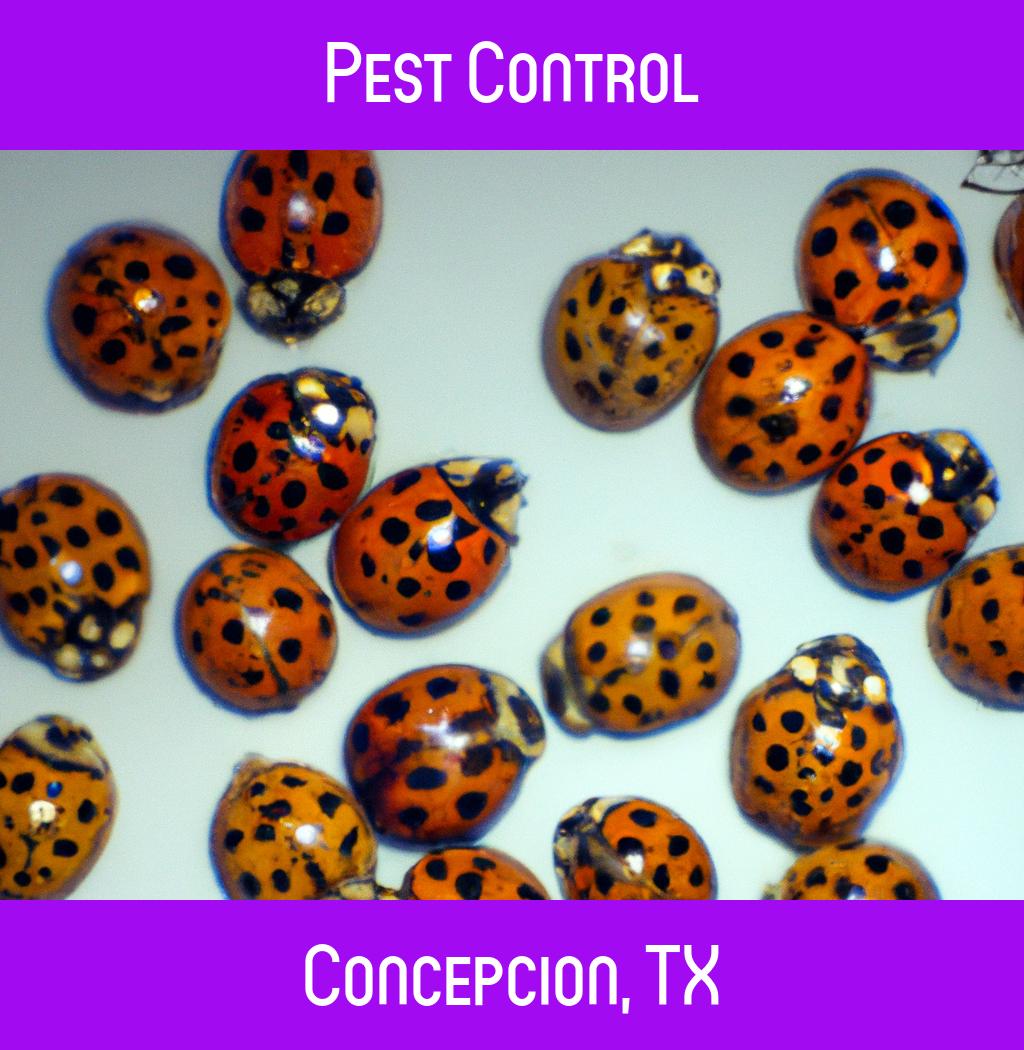 pest control in Concepcion Texas