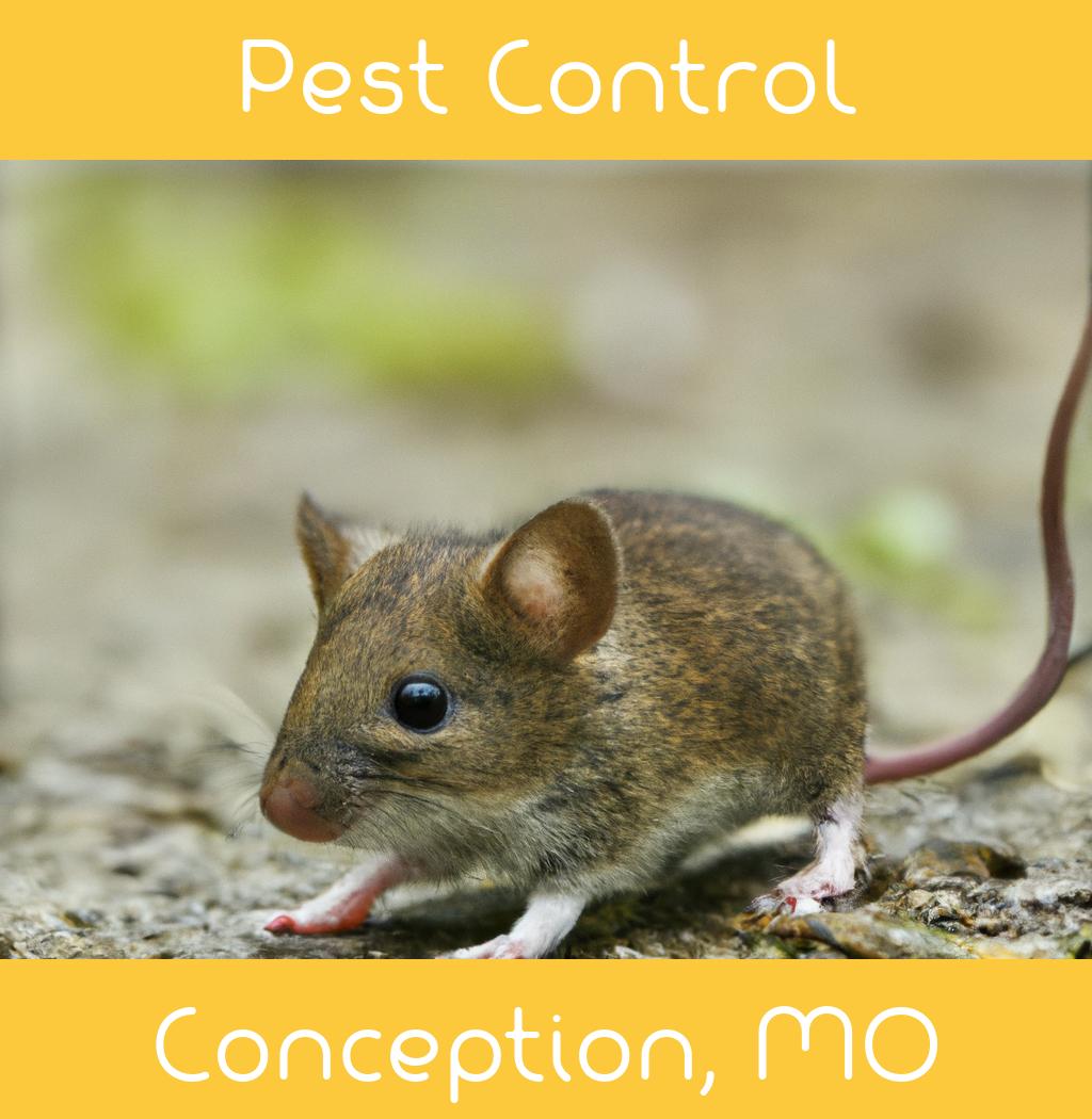pest control in Conception Missouri