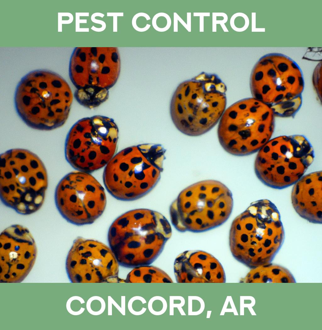 pest control in Concord Arkansas