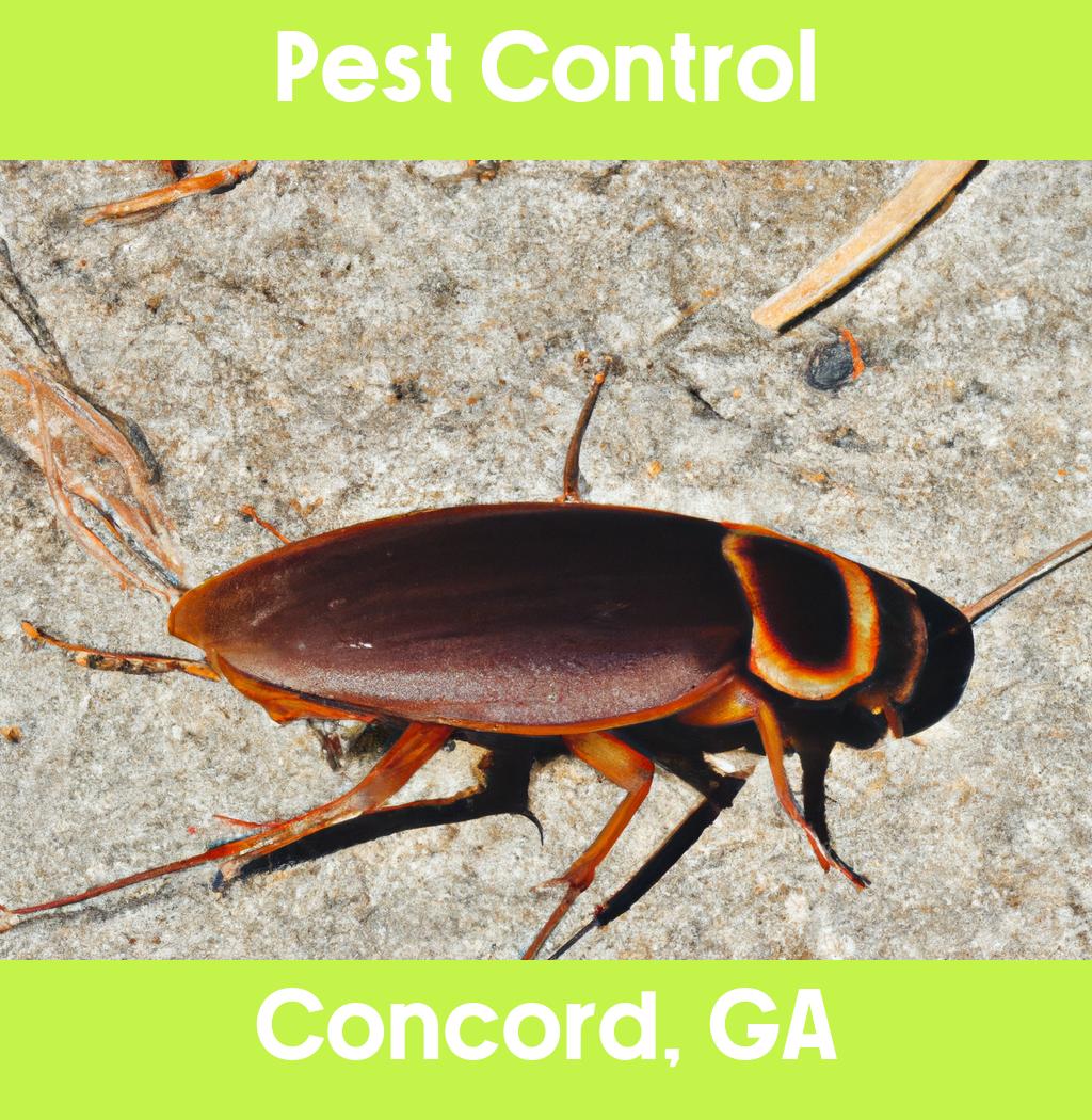 pest control in Concord Georgia