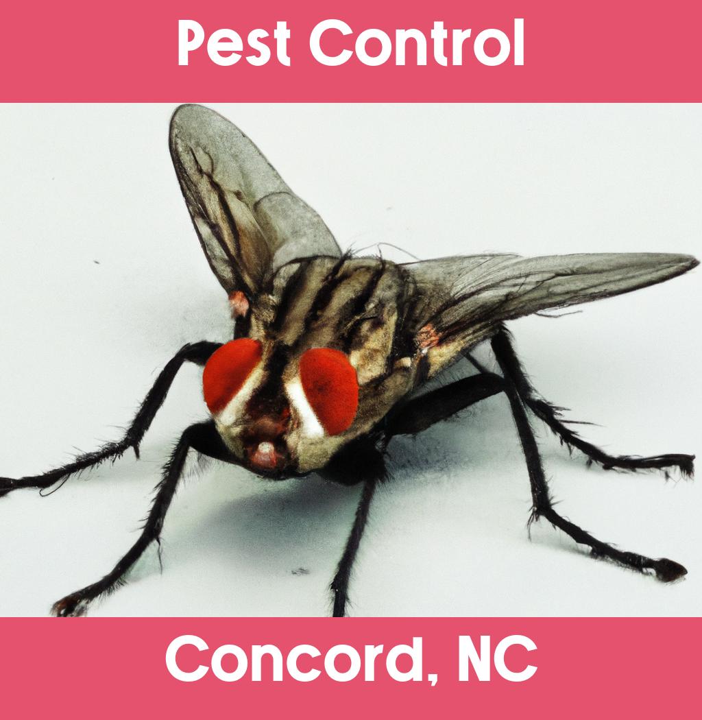 pest control in Concord North Carolina