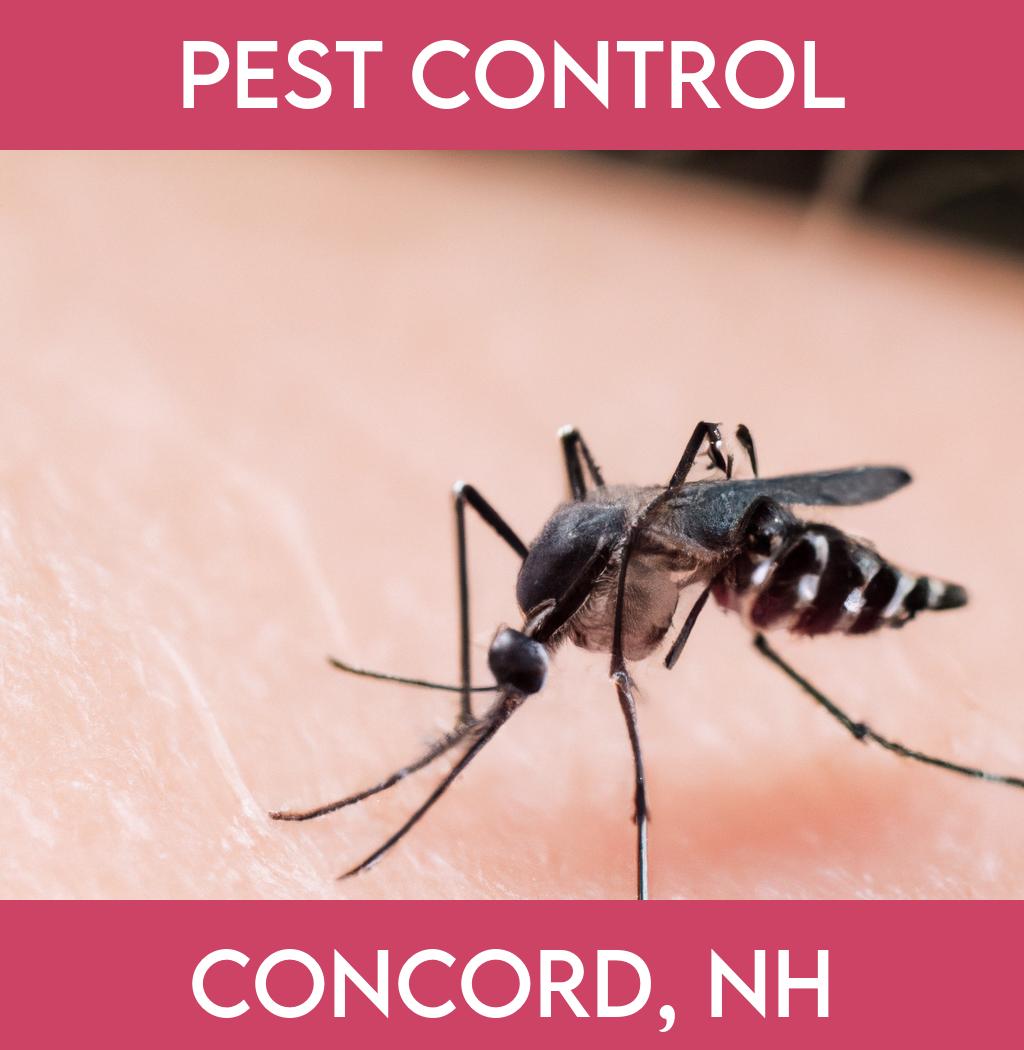 pest control in Concord New Hampshire