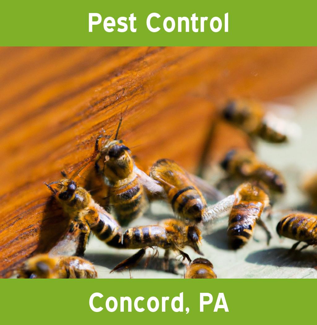 pest control in Concord Pennsylvania